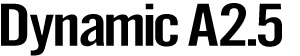 Dynamic A2.5